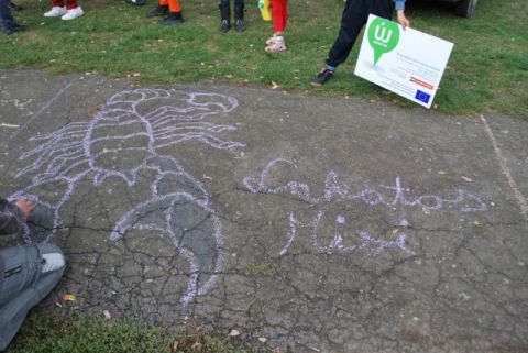 cigand_2013_09_21_aszfaltrajzverseny (8)