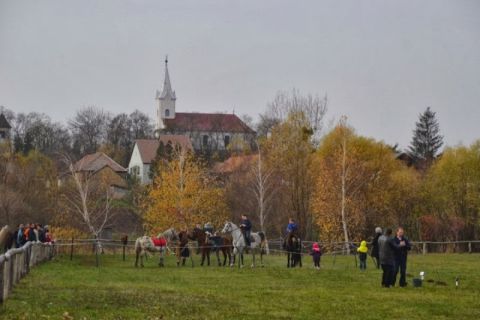 2013_11_16_ karos_életfa_ültetők_találkozója_képek (12)