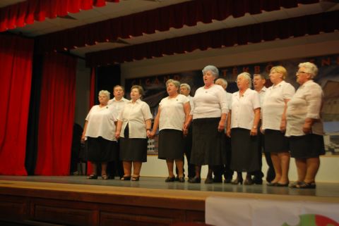 2014_06_19_cigánd_idősek_klubja_találkozója (68)