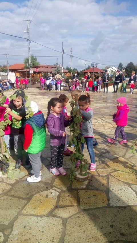szüreti_mulatság_2017 (35)