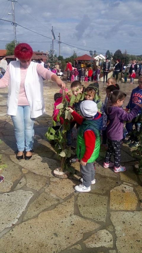 szüreti_mulatság_2017 (38)