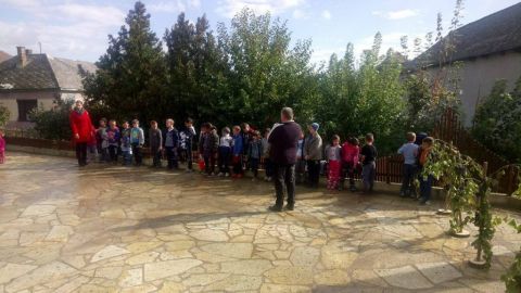 szüreti_mulatság_2017 (39)