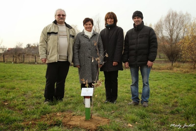 Életfát ültetett A „Bodrogköz Tájmúzeumáért” Alapítvány Karosban