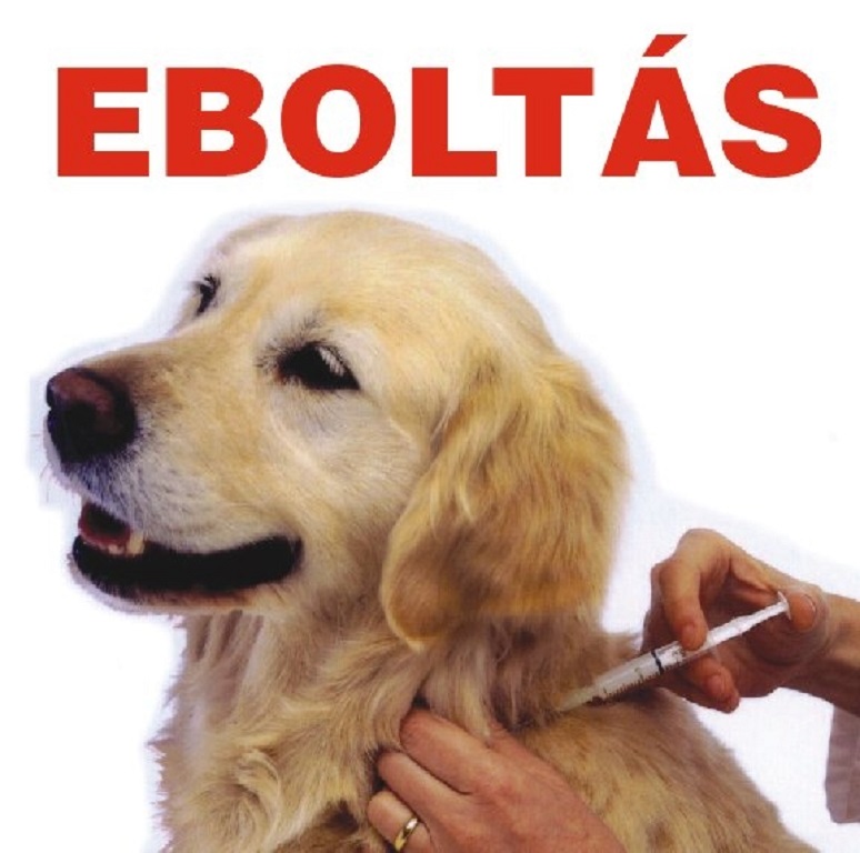 Eboltás Karosban
