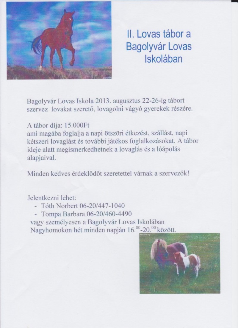 Felhívás! II. Lovas tábor Tiszakarád-Nagyhomokon