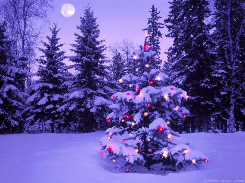 Adventi és karácsonyi rendezvények Cigándon!