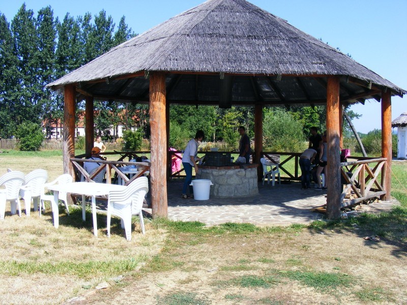 DIÁKMUNKÁSOK RICSÉN
