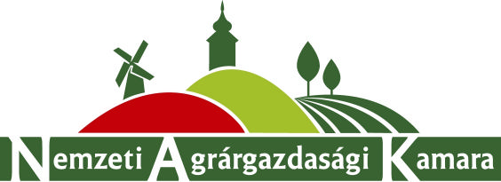 Meghívó
