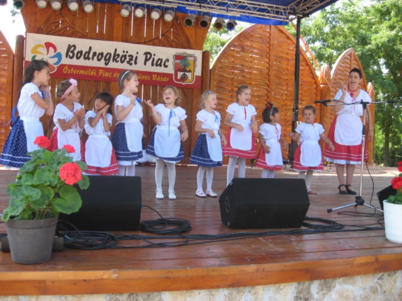 Diploma Képek 027