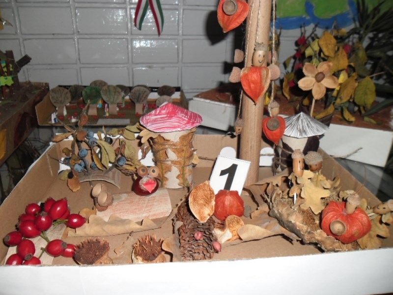 SAM_0336
