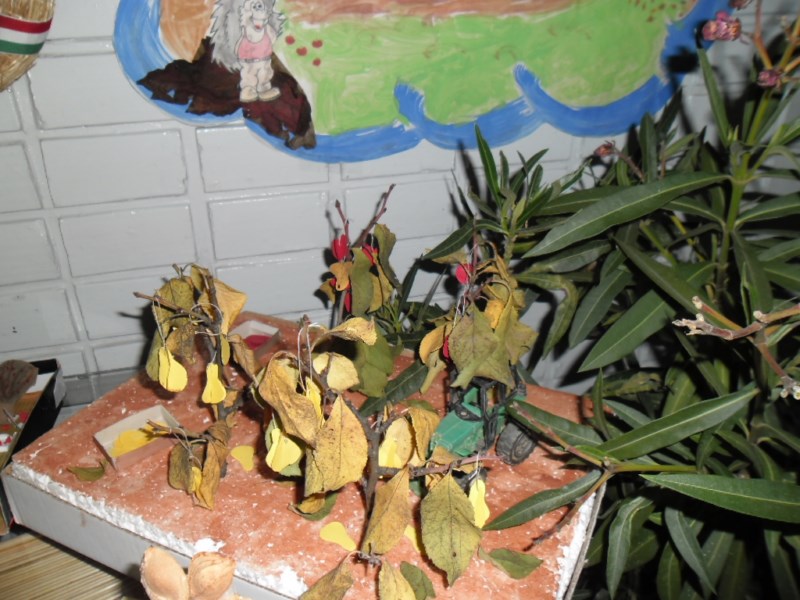 SAM_0338