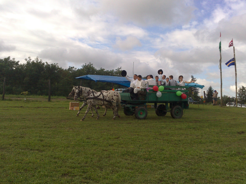 2014.08.16_karos_III.Apraja-Nagyja Sokadalom (2)