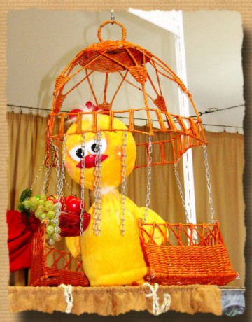 aranycsibe
