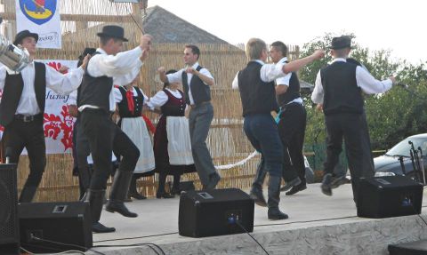 cigand_2013_08_26_sarkantyus_kisrozvagy (17)