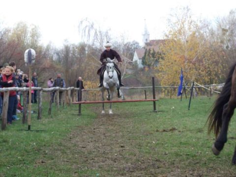2013_11_16_ karos_életfa_ültetők_találkozója_képek (19)