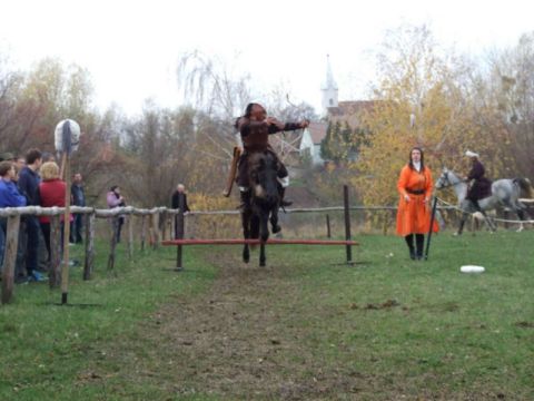 2013_11_16_ karos_életfa_ültetők_találkozója_képek (20)