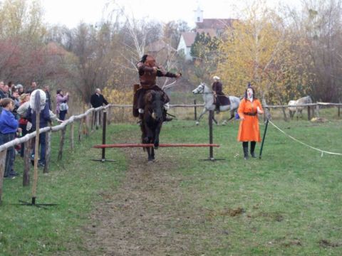 2013_11_16_ karos_életfa_ültetők_találkozója_képek (22)