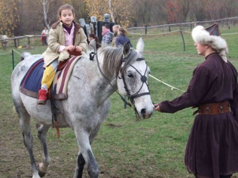 2013_11_16_ karos_életfa_ültetők_találkozója_képek (23)