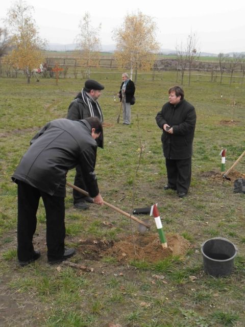 2013_11_16_ karos_életfa_ültetők_találkozója_képek (27)