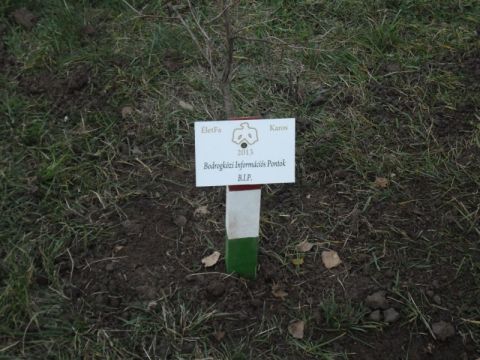 2013_11_16_ karos_életfa_ültetők_találkozója_képek (5)