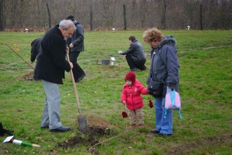 2013_11_16_ karos_életfa_ültetők_találkozója_képek (8)
