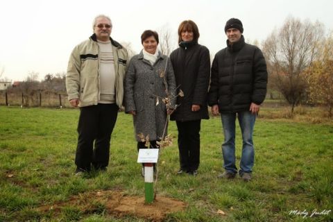 2013_11_16_cigánd_életfa ültetés karosban (1)