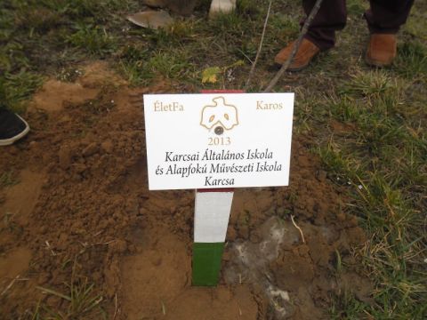 Karcsa_2013_11_19 életfa (11)