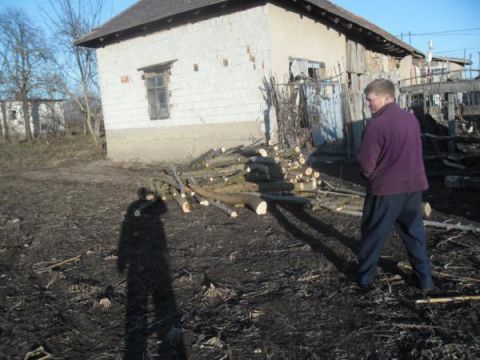 Tüzifa osztás (3)