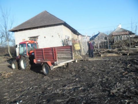 Tüzifa osztás (6)