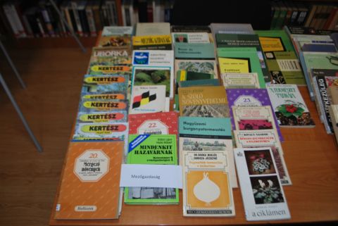 2014_01_23_cigánd_könyvbörze (2)