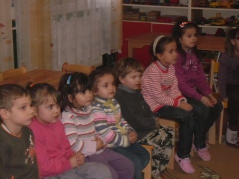 aranyszőrű_bárány_képek_révleányvár (12)