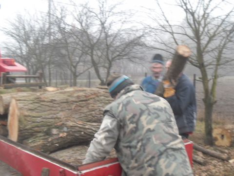 tüzelőfa_osztás_révleányvár_1 (11)