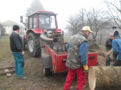 tüzelőfa_osztás_révleányvár_1 (2)