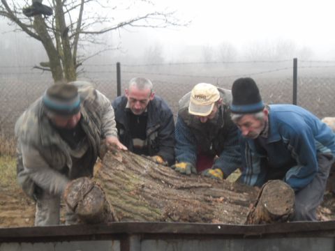 tüzelőfa_osztás_révleányvár_1 (7)