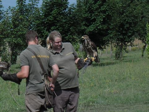2013.06.28_Kézműves foglalkozás10