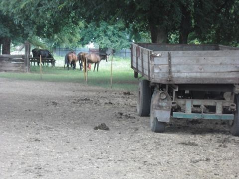 2013.07_Kirándulás Perbenyikbe4