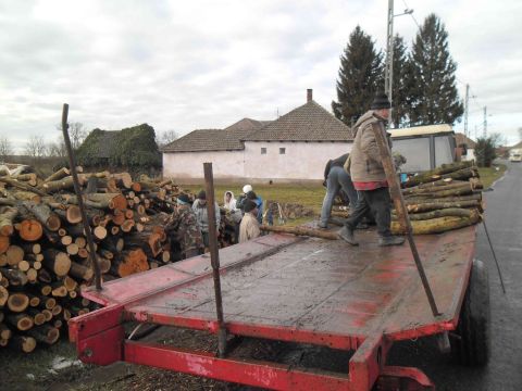 damoc_2013_02_10_faosztas (14)