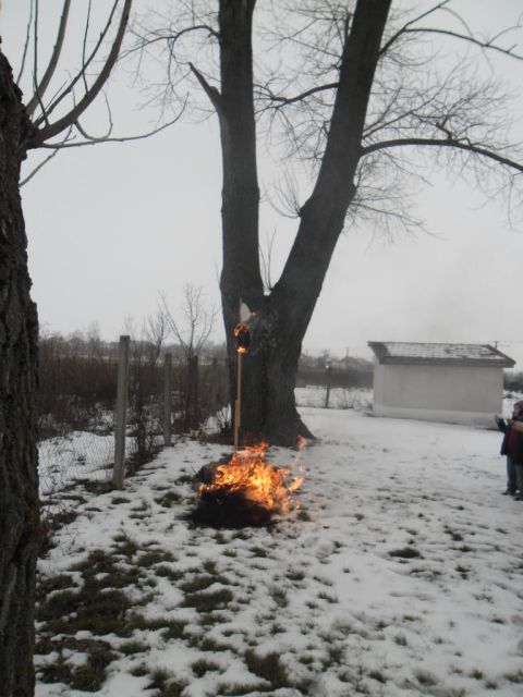 tiszacsermely_farsang_14_02_07 (28)