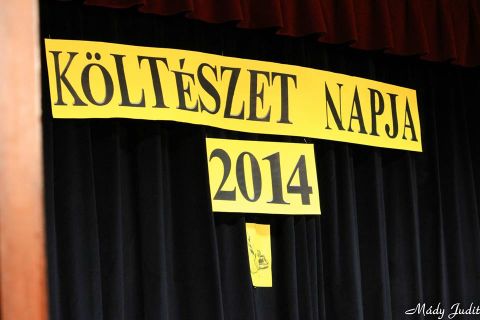 2014_04_11_cigánd_szavaló_verseny_költészet_napja (23)
