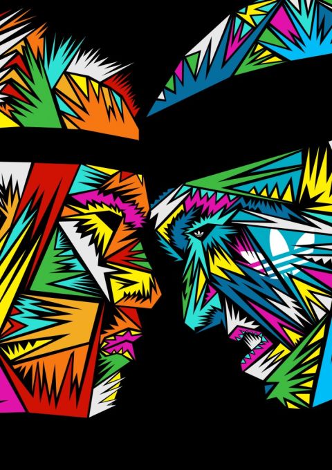 Adidas Collision by Antal Istvan