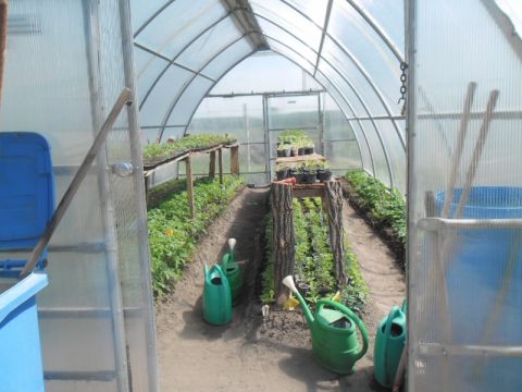2014_05_07_Kert_Kisrozvágy (1)