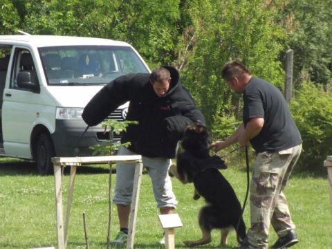 Karcsa_2014_05_26_egtc napok (12)
