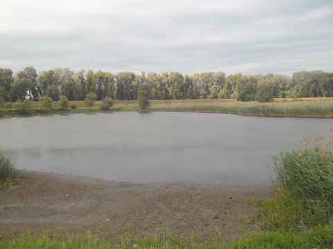 Horgászverseny (3)