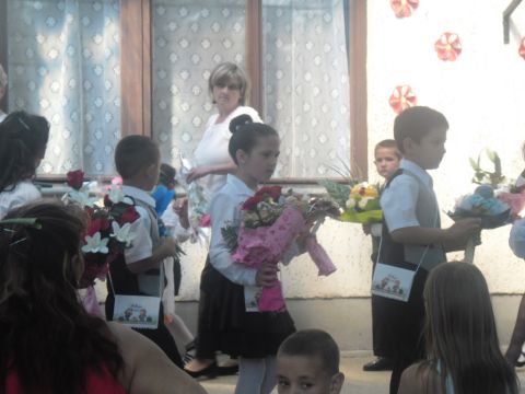 ovis ballagás (8)