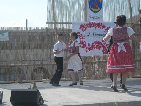 2014.07.19. Kisrozvágyi falunap (38)