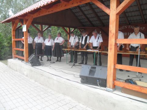 2014.07.27 Semjén Falunap (99)
