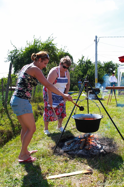 2014_06_26-30_cigánd_cigándiak_erdélyben (21)