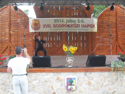 2014_07_05_tiszacsermelyi_fellepok_a_bodrogkozi_napon (3)