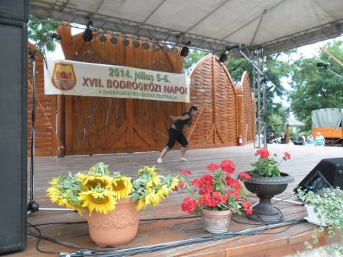 2014_07_05_tiszacsermelyi_fellepok_a_bodrogkozi_napon (5)