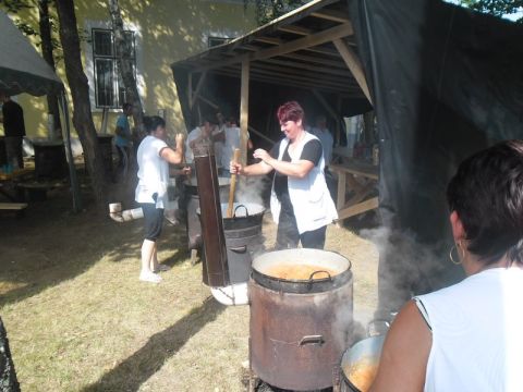 2014_07_05_zemplenagard_falunap (2)